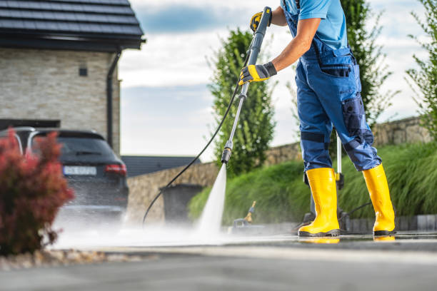 Best Gutter Cleaning  in Jonesboro, IL